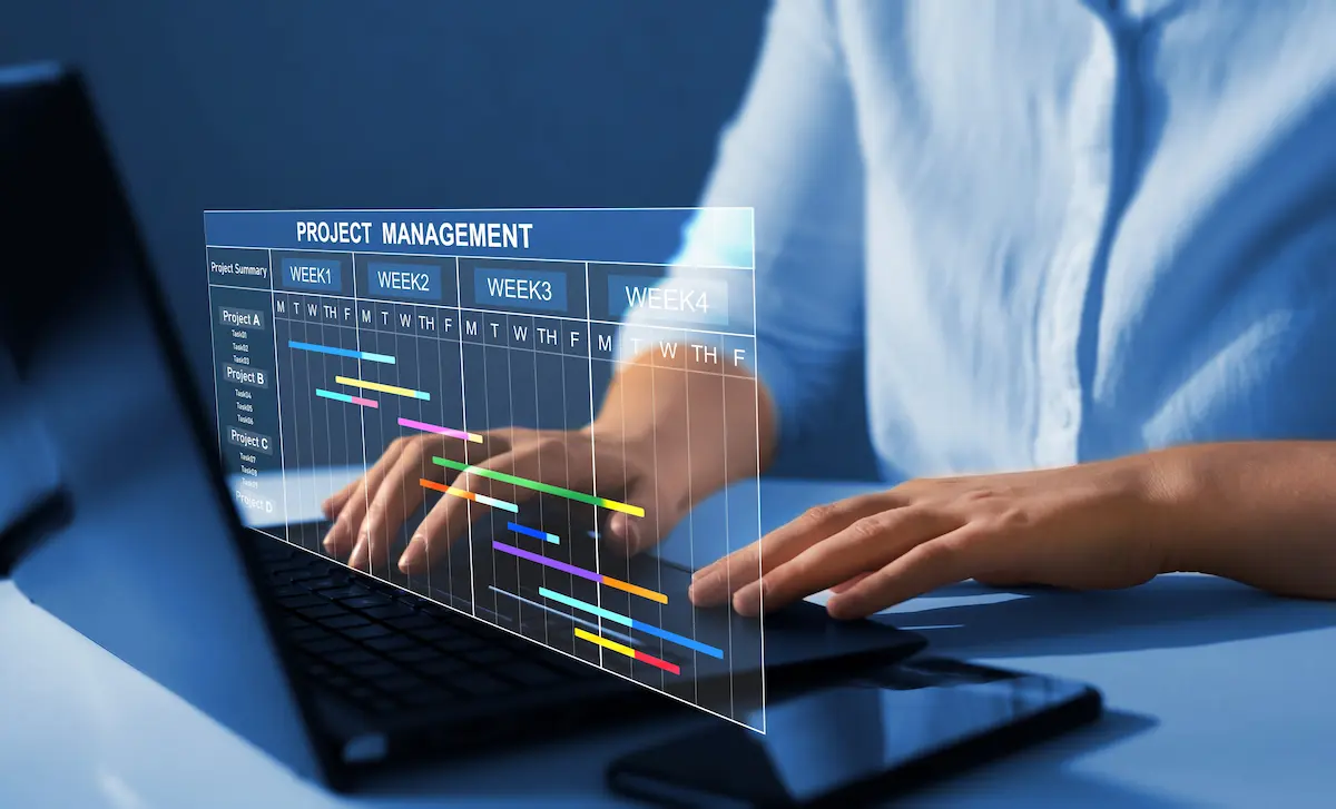 project management (1)