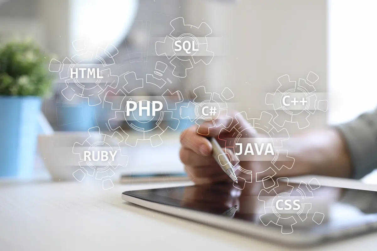Programming languages for software project