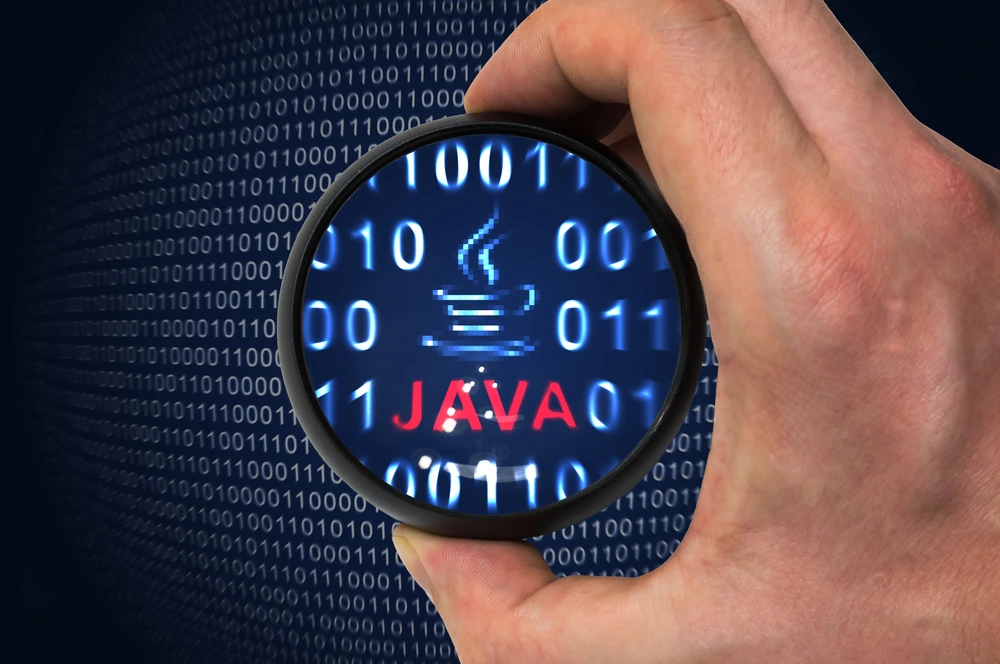 Java Developer Skills